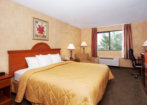 Comfort - Bar Harbor Ellsworth