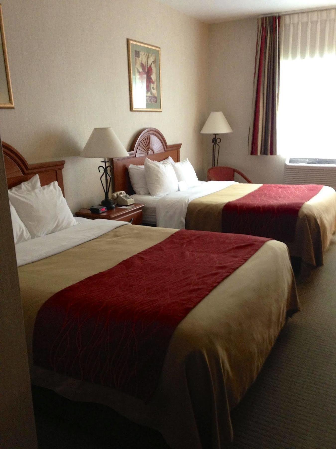 Comfort - Bar Harbor Locanda